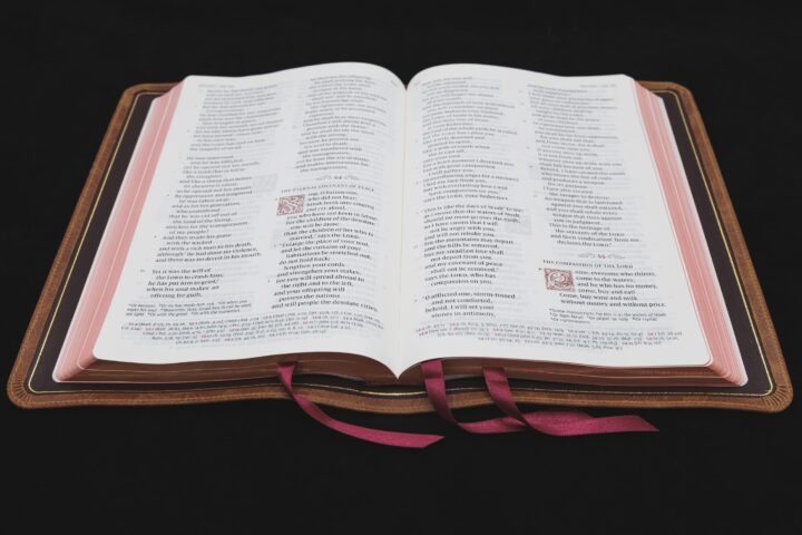 Schuyler Quentel ESV, Full Yapp Desert Camel Calfskin Bible – PREORDER - Image 4