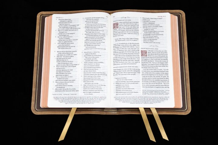 Schuyler Quentel ESV, Full Yapp Sandstone Calfskin Bible – PREORDER - Image 3