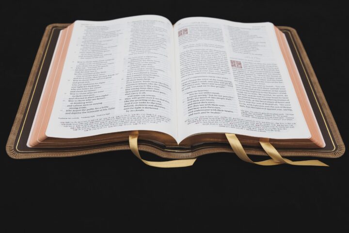 Schuyler Quentel ESV, Full Yapp Sandstone Calfskin Bible – PREORDER - Image 2