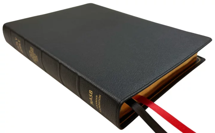 Lockman NASB 1995 Prime Large Print Ultrathin Reference Bible, Black Goatskin Leather - Image 2
