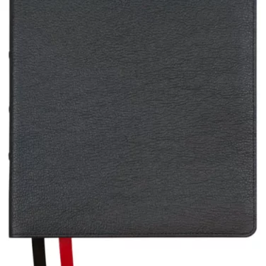 Lockman NASB 1995 Prime Large Print Ultrathin Reference Bible, Black Goatskin Leather