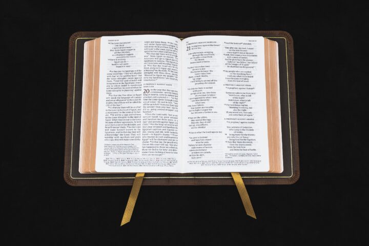 Schuyler Personal Size Quentel NIV, Full Yapp Chestnut Calfskin Bible – PREORDER - Image 5