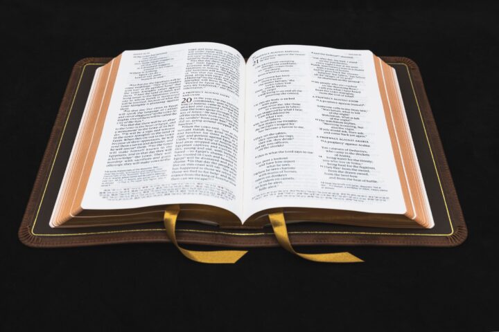 Schuyler Personal Size Quentel NIV, Full Yapp Chestnut Calfskin Bible – PREORDER - Image 2