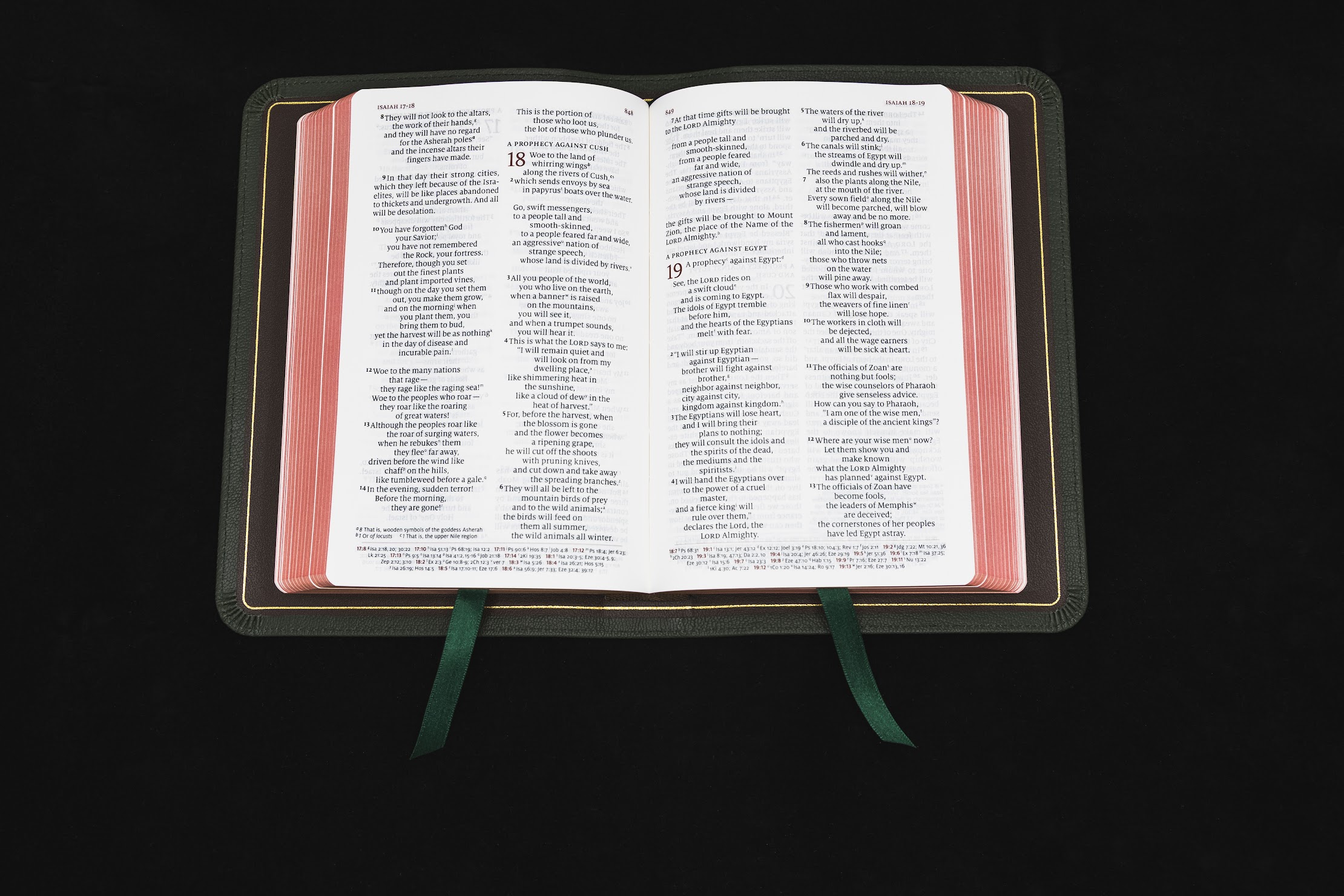 Schuyler Personal Size Quentel NIV, Full Yapp Dark Green Goatskin Bible - Image 4