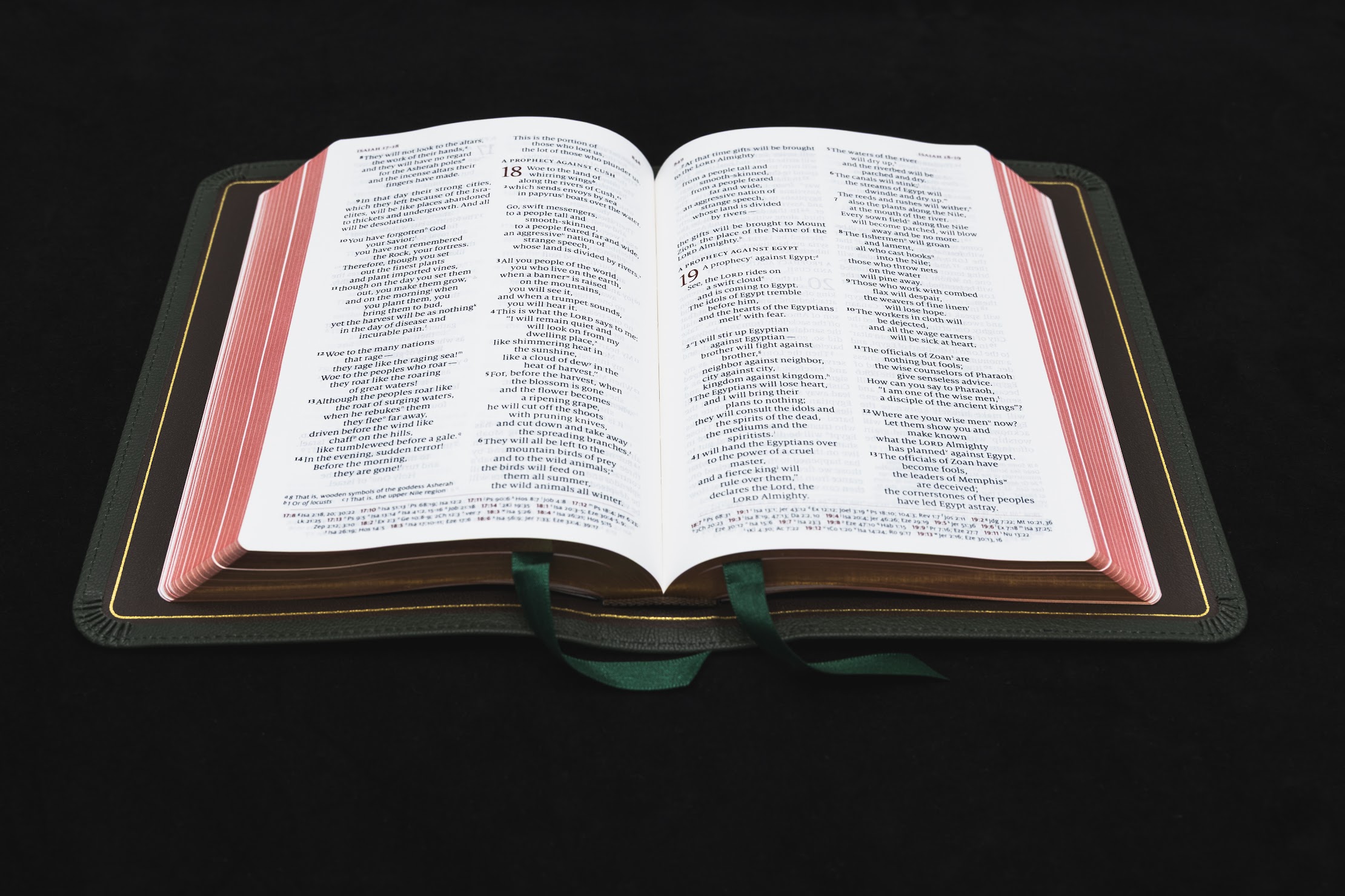 Schuyler Personal Size Quentel NIV, Full Yapp Dark Green Goatskin Bible - Image 2