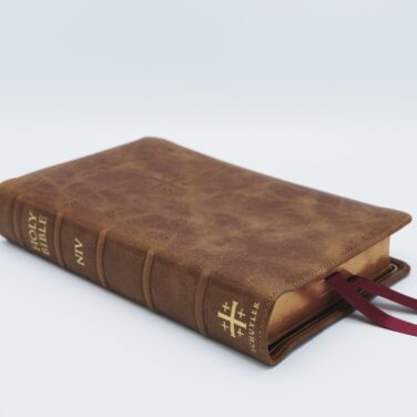 Schuyler Personal Size Quentel NIV, Desert Camel Calfskin Bible – PREORDER