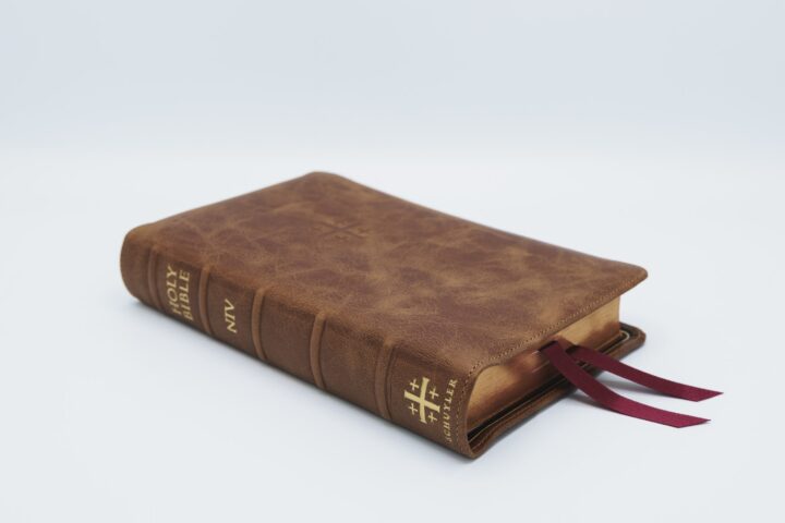 Schuyler Personal Size Quentel NIV, Desert Camel Calfskin Bible – PREORDER