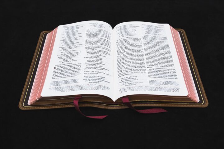Schuyler Personal Size Quentel NIV, Desert Camel Calfskin Bible – PREORDER - Image 2