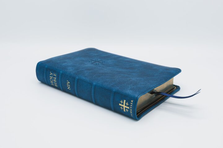 Schuyler Personal Size Quentel NIV, Marbled Sapphire Calfskin Bible – PREORDER