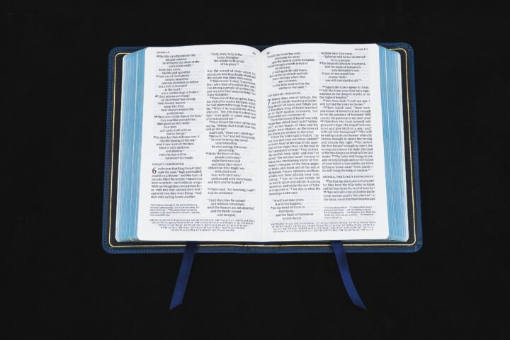 Schuyler Personal Size Quentel NIV, Marbled Sapphire Calfskin Bible – PREORDER - Image 2