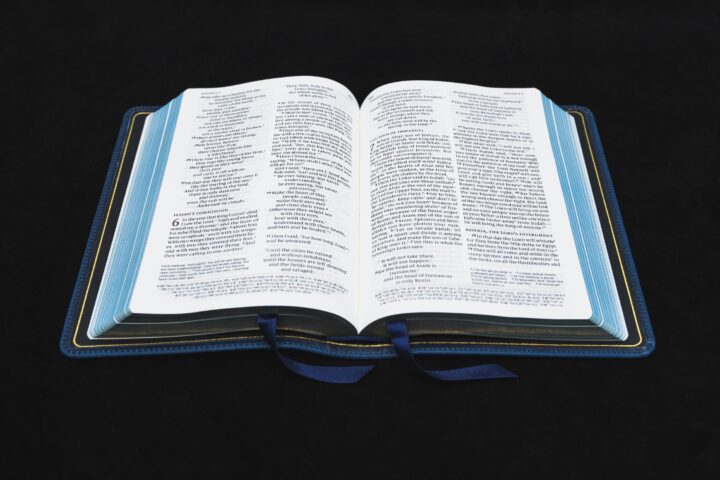 Schuyler Personal Size Quentel NIV, Marbled Sapphire Calfskin Bible – PREORDER - Image 4