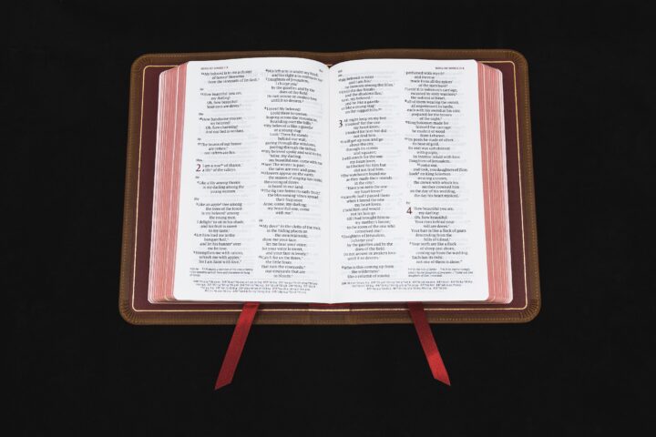 Schuyler Personal Size Quentel NIV, Full Yapp Saddle Brown Calfskin Bible – PREORDER - Image 4