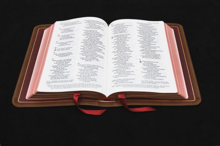 Schuyler Personal Size Quentel NIV, Full Yapp Saddle Brown Calfskin Bible – PREORDER - Image 2