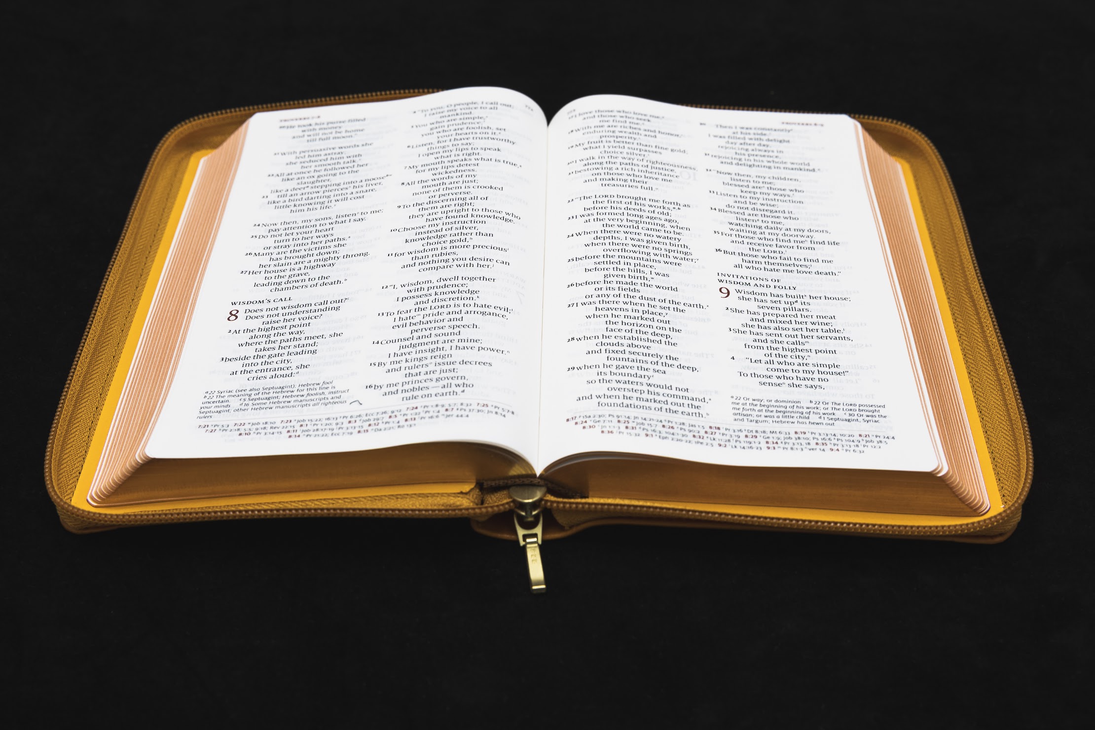 Schuyler Personal Size Quentel NIV, Tuscany Calfskin Bible, Zipper Edition - Image 2