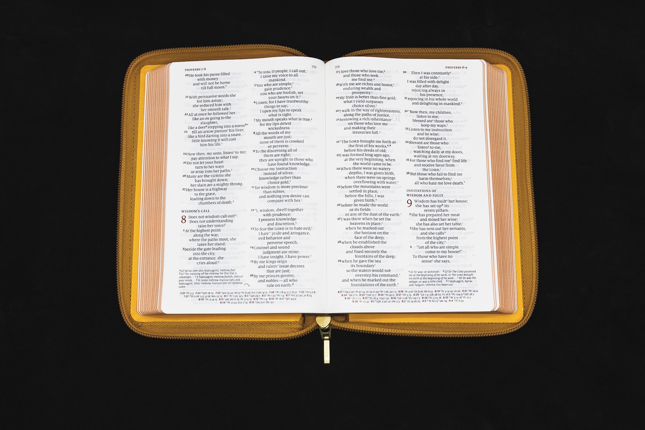 Schuyler Personal Size Quentel NIV, Tuscany Calfskin Bible, Zipper Edition - Image 3