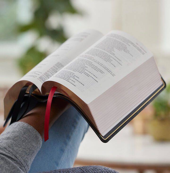 Nelson NKJV Single-Column Verse-by-Verse Reference Bible, Black Goatskin - Image 5