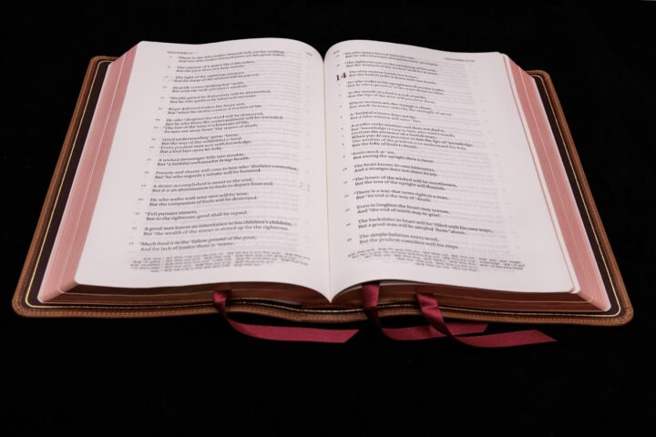 Schuyler Stridon NKJV, Desert Camel Calfskin Bible - Image 3