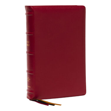 その他 N.K Phenotype of zenithal-NK (Z-NK) cells. (A) Schematic diagram of