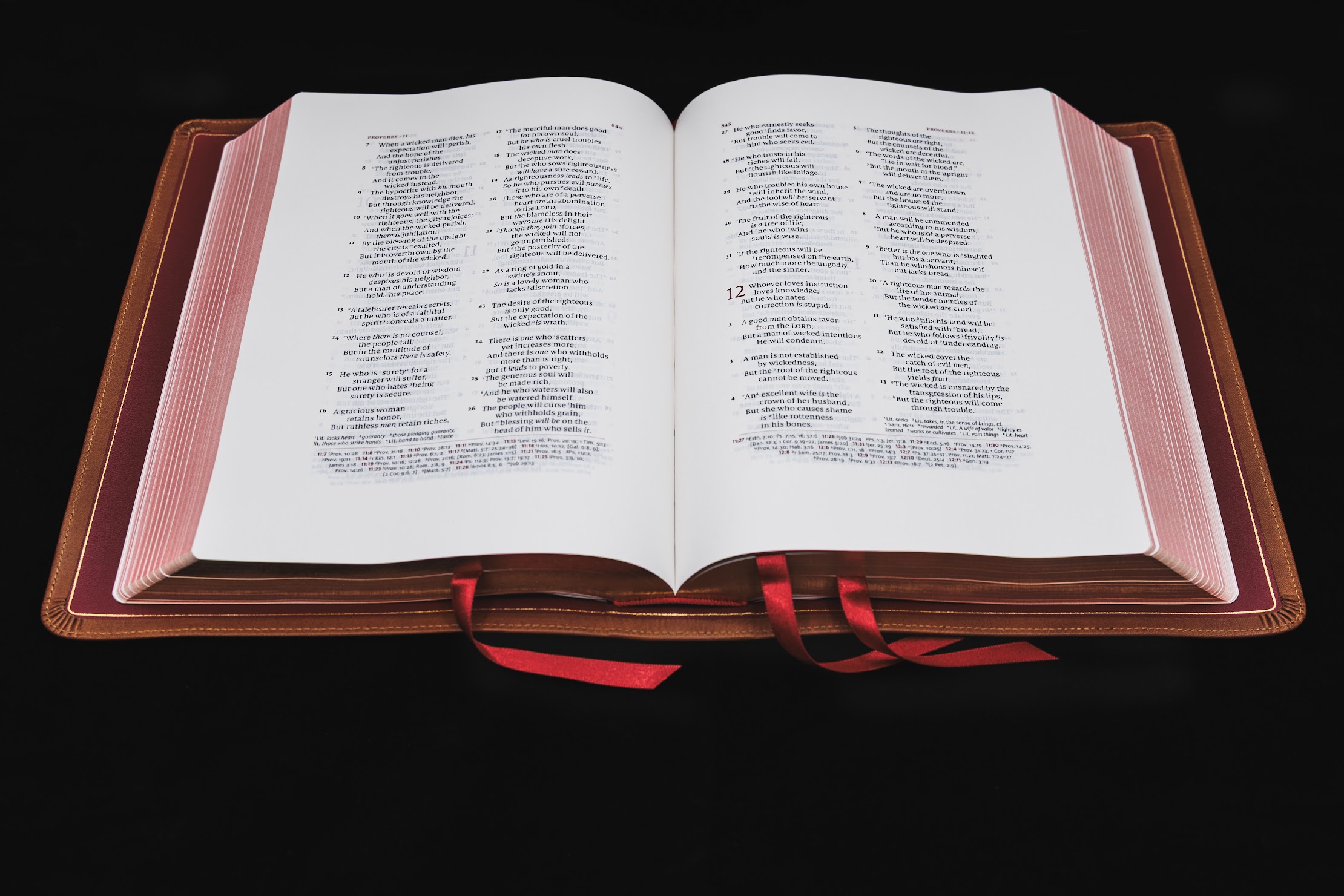 Schuyler Wide Margin Quentel NKJV, Saddle Brown Calfskin Bible - Image 3