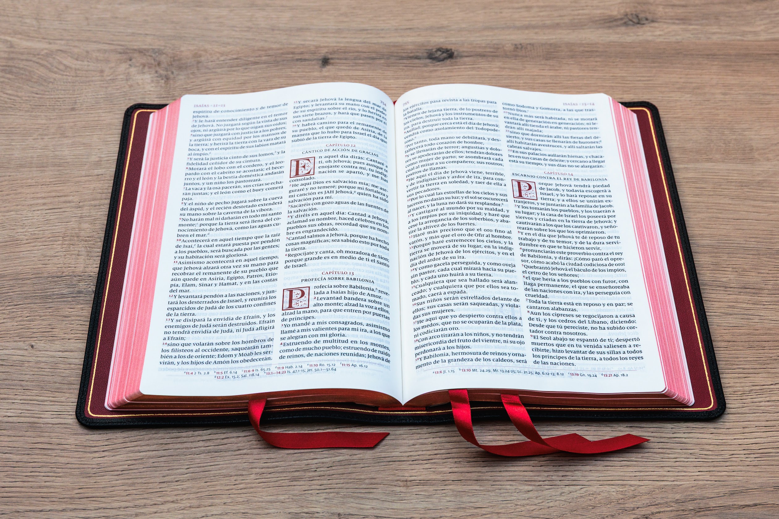 Schuyler Casiodoro RVR60, Cuero De Cabra Negro Biblia - Image 3