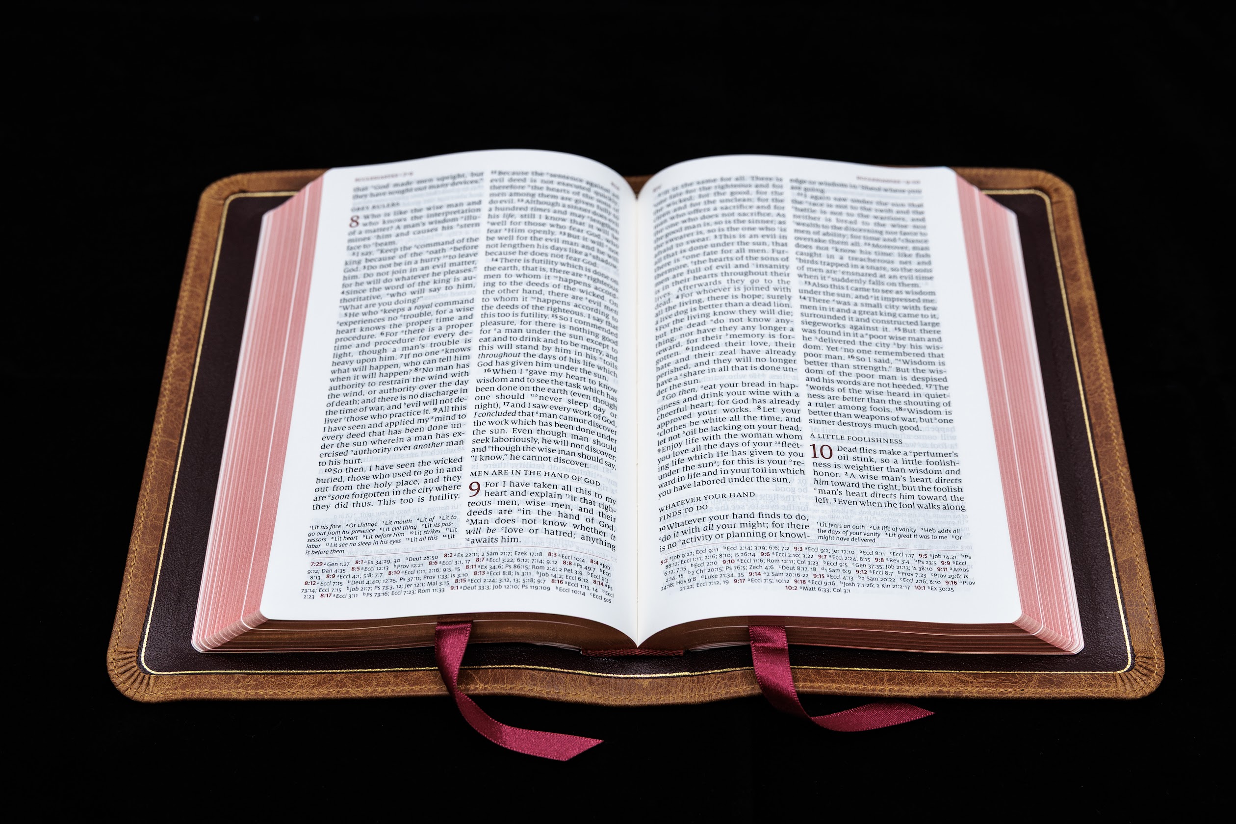 Imperfect A40 Schuyler Personal Size Quentel NASB, Full Yapp Desert Camel Calfskin Bible - Image 2