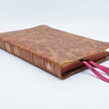 Schuyler Casiodoro RVR60, Full Yapp Cuero De Becerro Color Camello Del Desierto Biblia