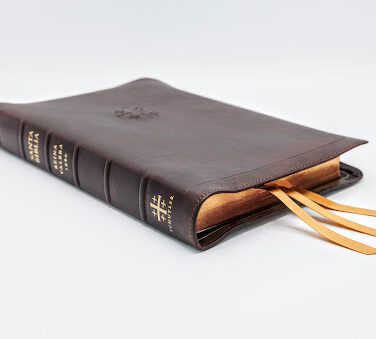 Schuyler Stridon ESV, Marbled Mahogany Calfskin Bible