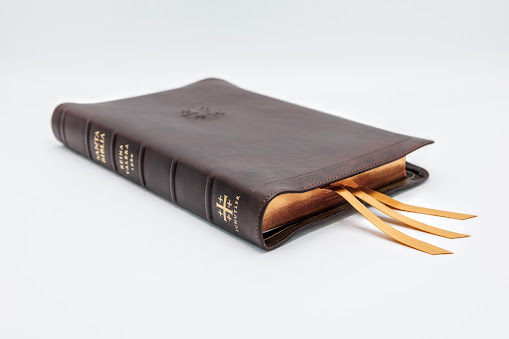 Schuyler Stridon ESV, Marbled Mahogany Calfskin Bible