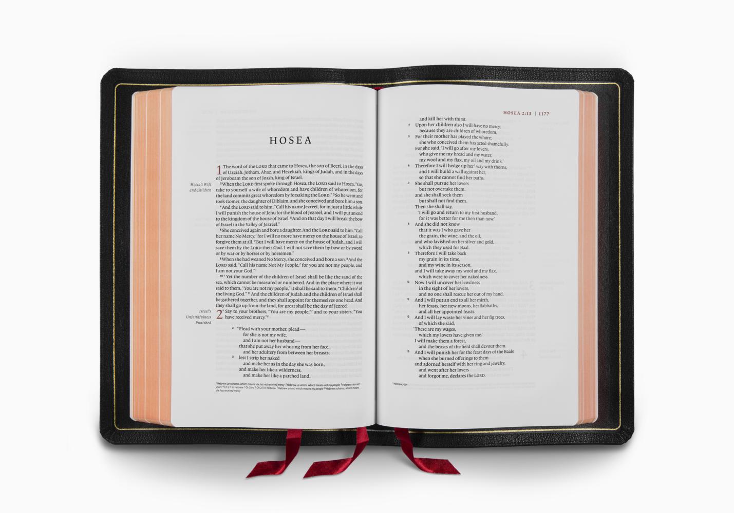 Crossway ESV Heirloom Bible, Gloria Dei: Single Column Edition, Full Yapp Black Goatskin - Image 3