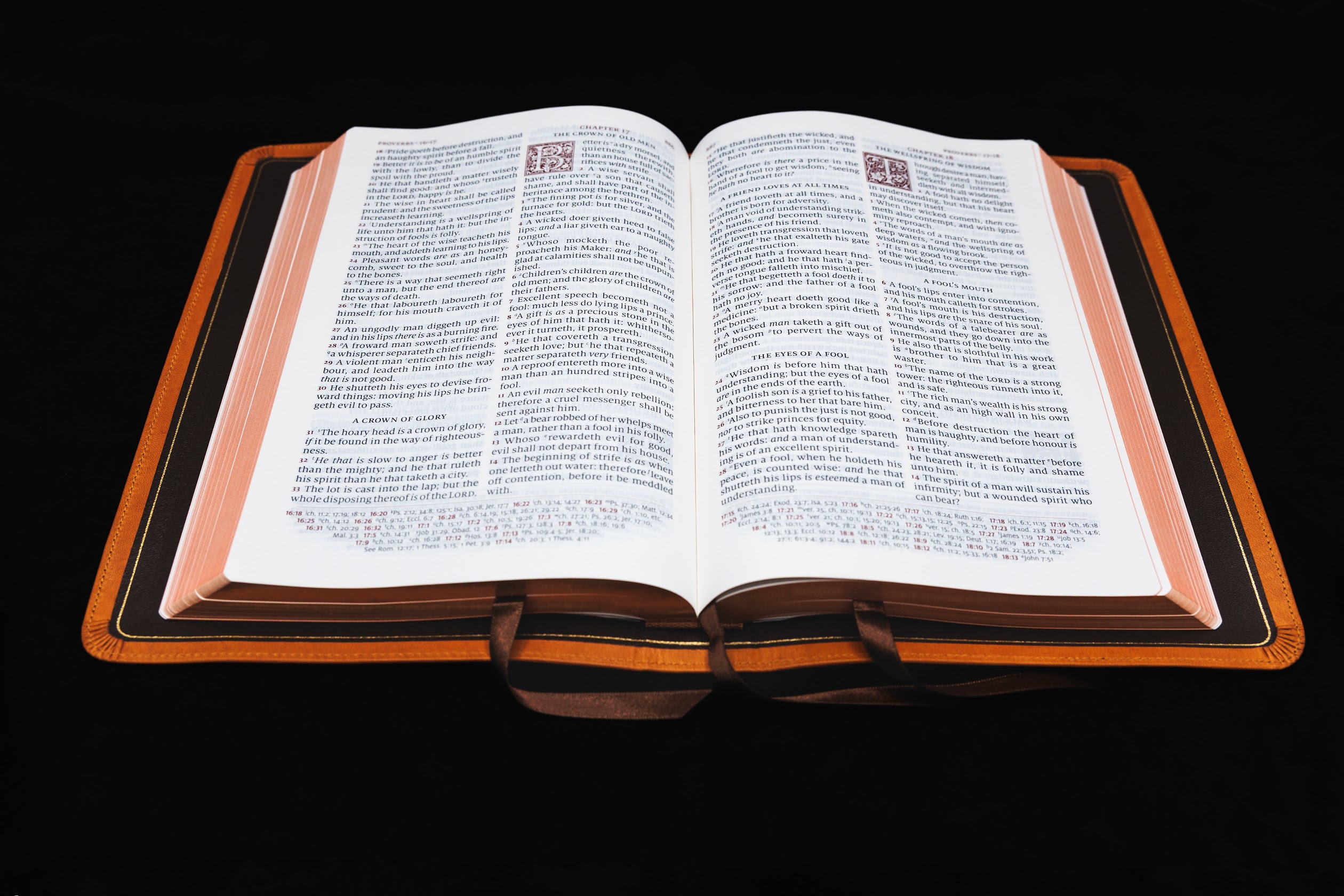 Schuyler Canterbury KJV, Full Yapp Tuscany Calfskin Bible