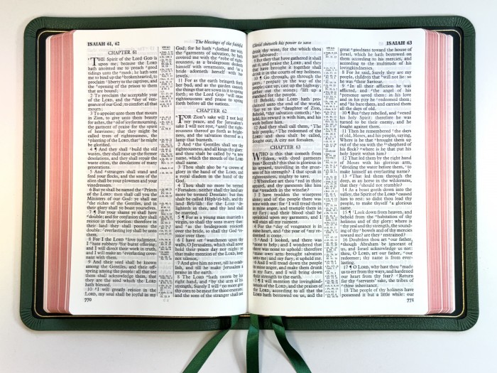 Allan KJV 44 Longprimer Thinline Lincoln Green Goatskin Bible - Image 2