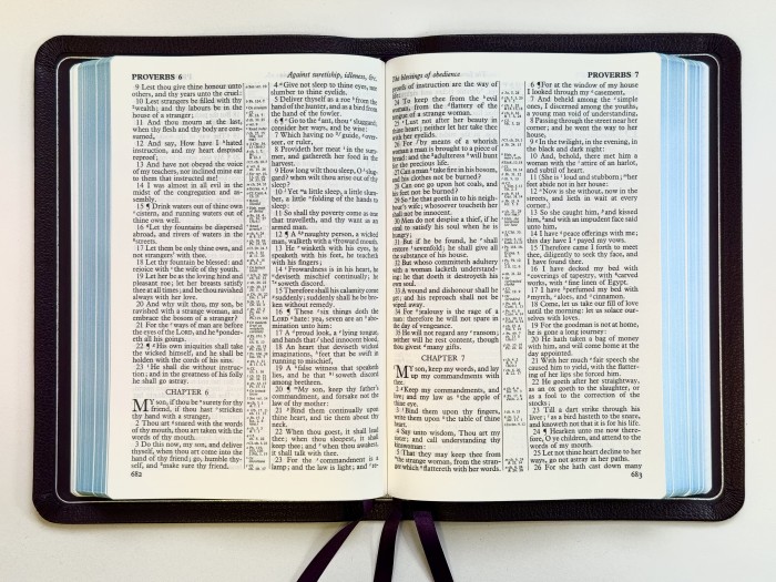 Allan KJV 44 Longprimer Thinline Purple Goatskin Bible, Silverline Edition - Image 2