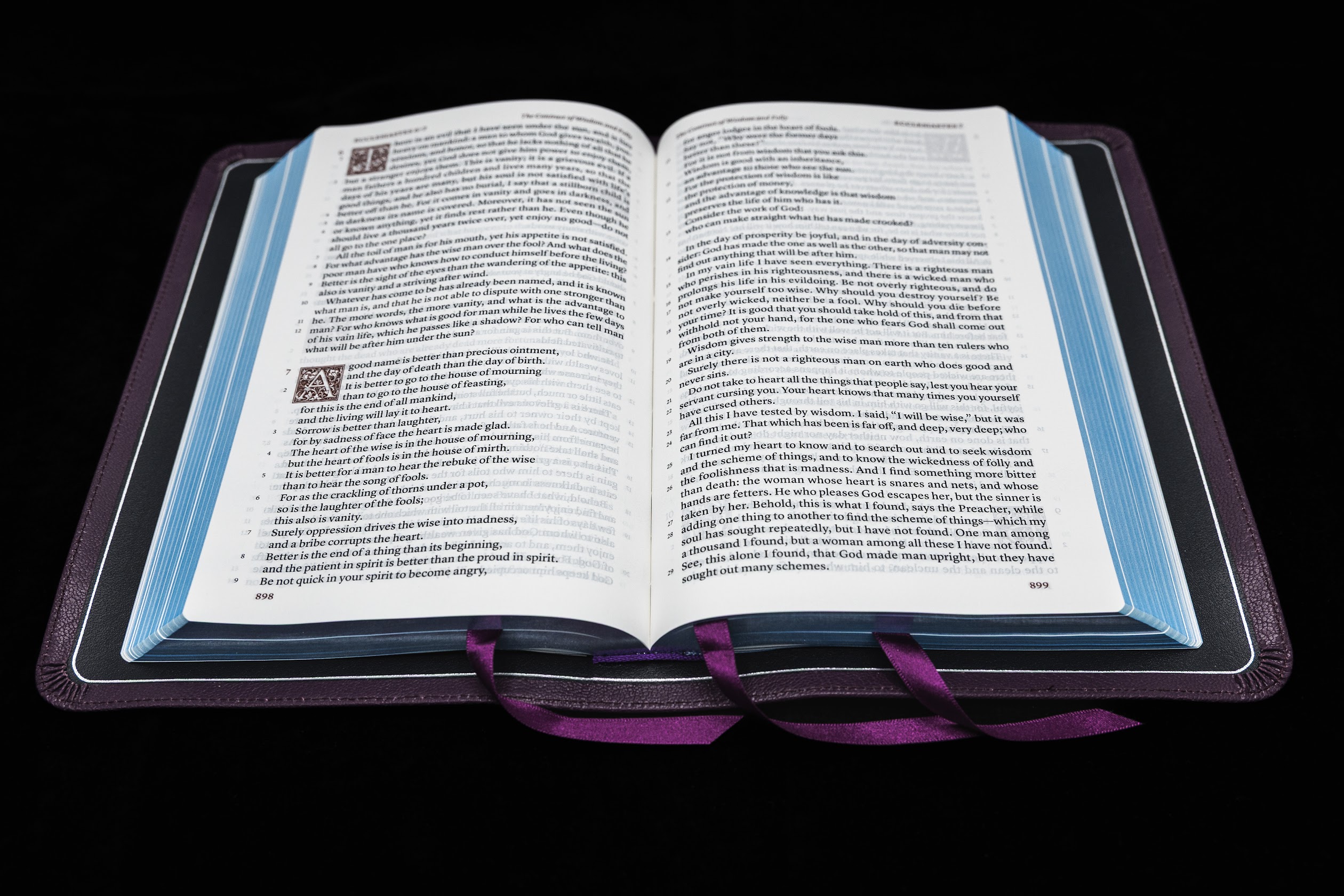 Schuyler Treveris ESV, Full Yapp Dark Purple Goatskin Bible - Image 2