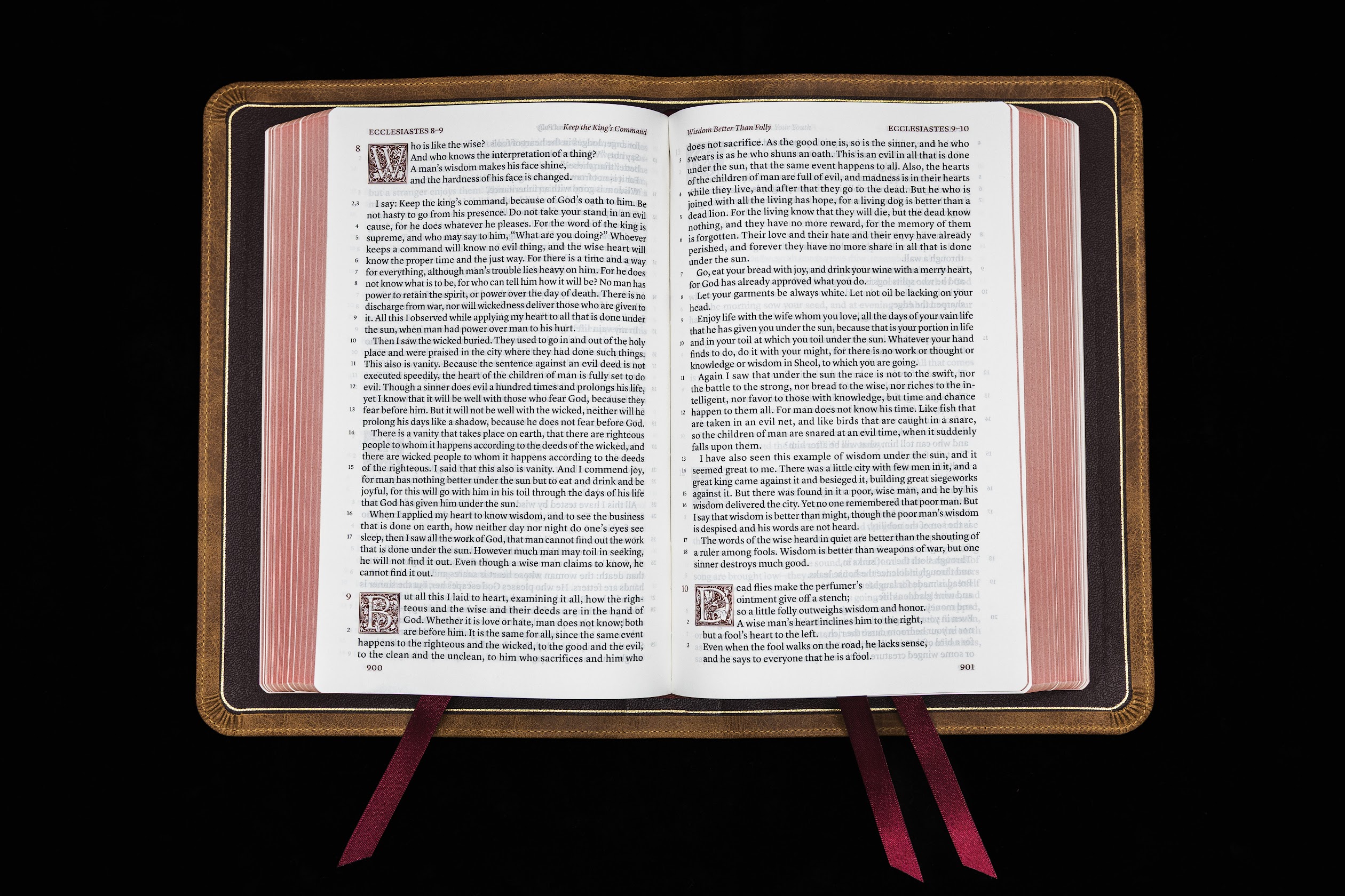 Schuyler Treveris ESV, Full Yapp Desert Camel Calfskin Bible - Image 3