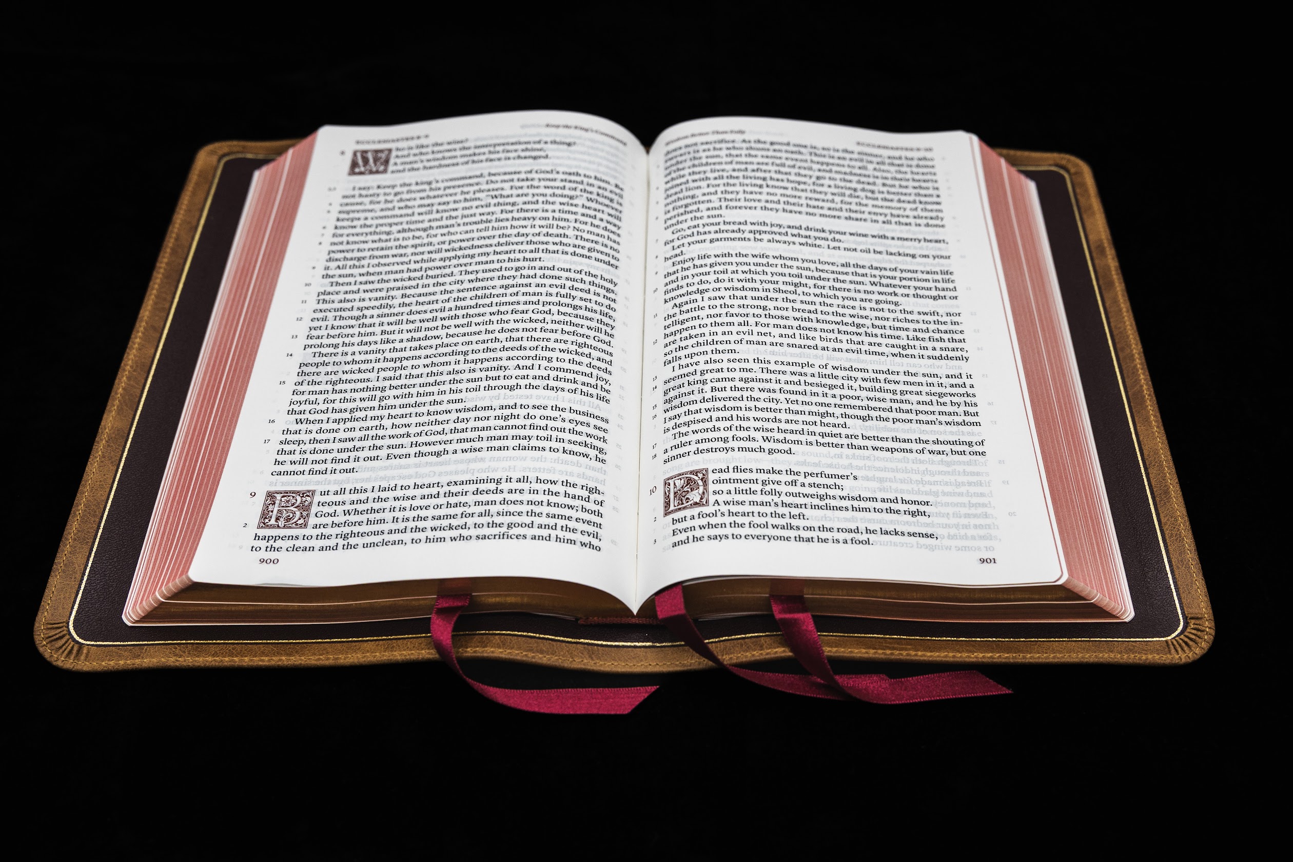 Schuyler Treveris ESV, Full Yapp Desert Camel Calfskin Bible - Image 2