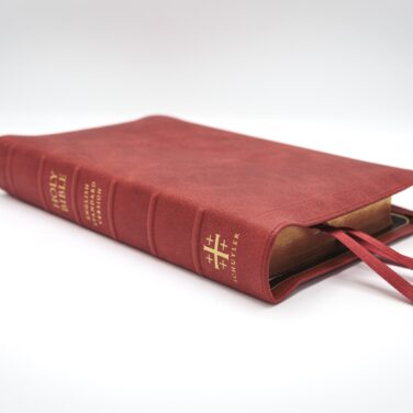 Schuyler Treveris ESV, Full Yapp Marbled Crimson Calfskin Bible