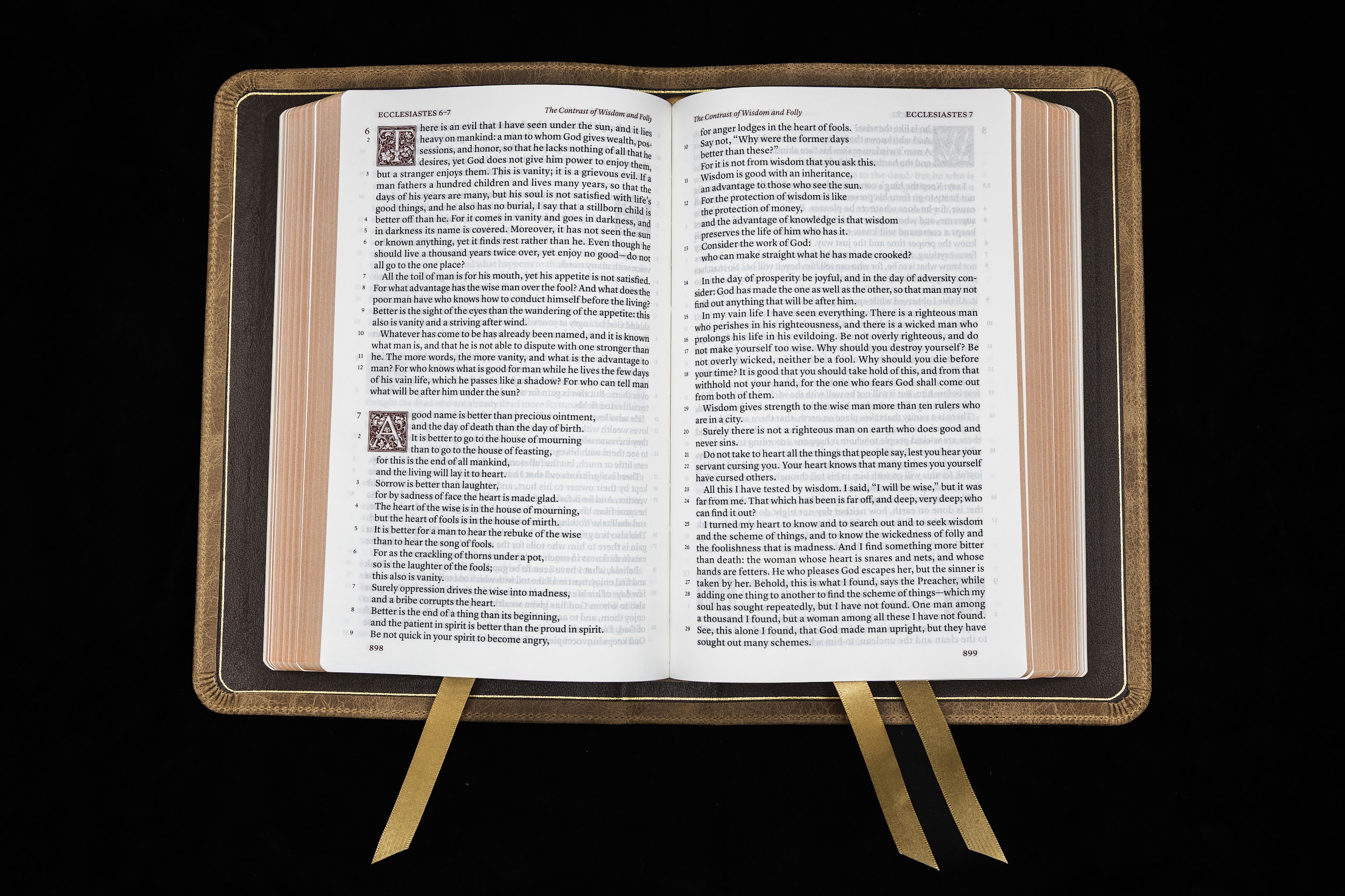 Imperfect G39 Schuyler Treveris ESV, Full Yapp Sandstone Calfskin Bible - Image 3