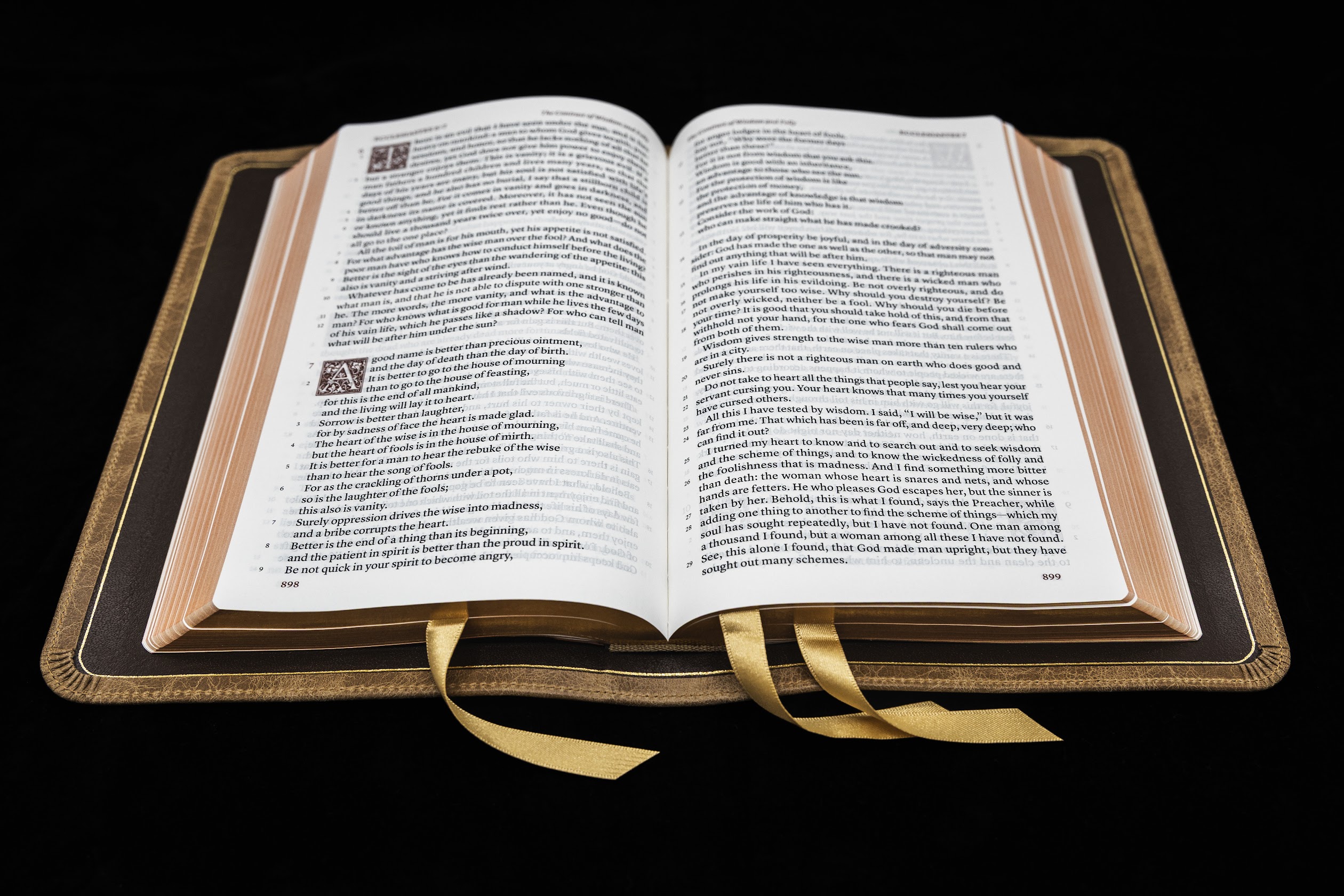 Imperfect G39 Schuyler Treveris ESV, Full Yapp Sandstone Calfskin Bible - Image 2