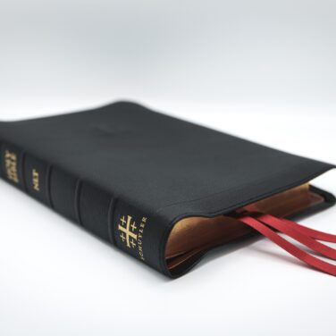 Schuyler Quentel NLT, Full Yapp Black Goatskin Bible