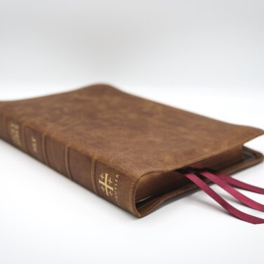 Schuyler Quentel NLT, Full Yapp Desert Camel Calfskin Bible