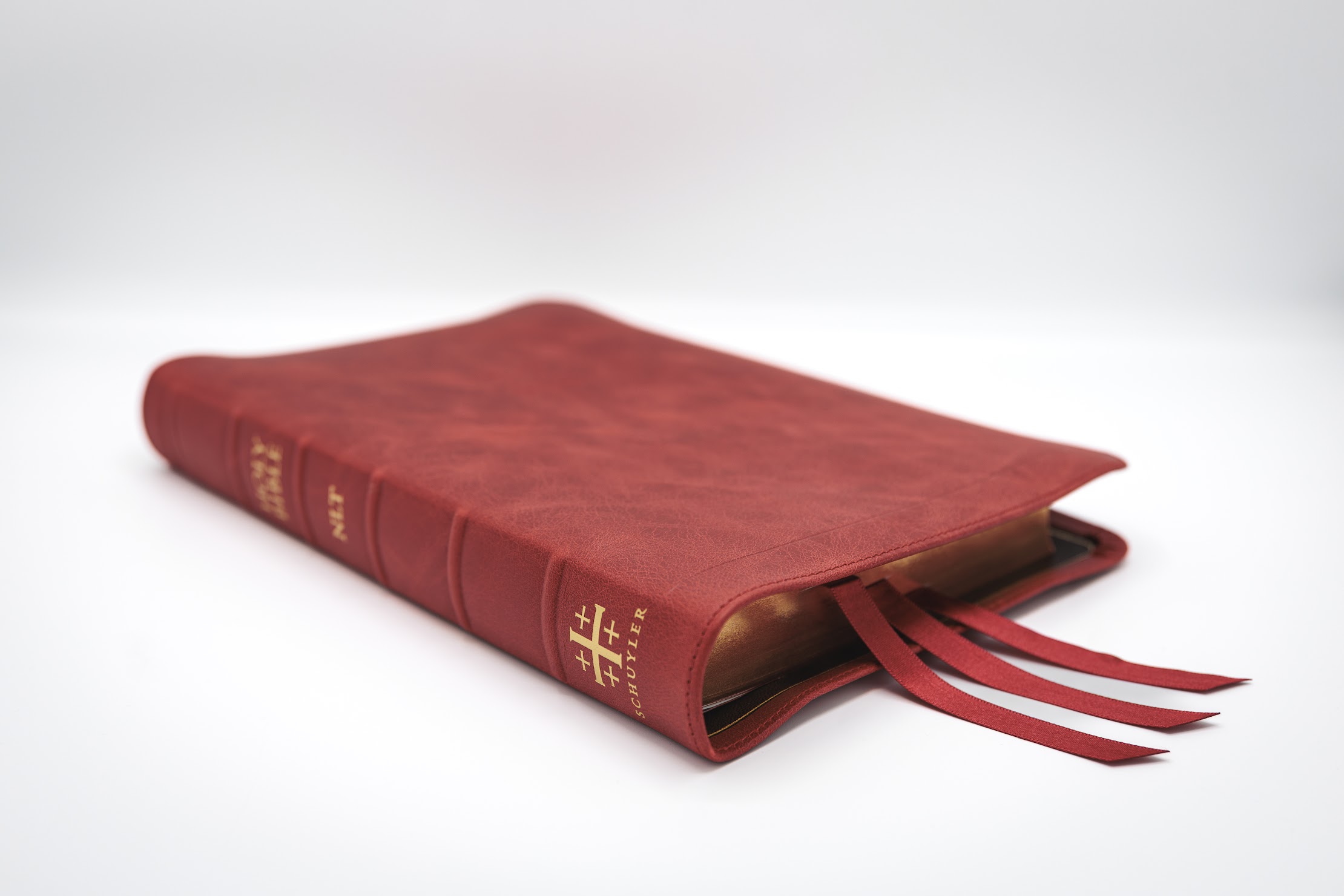 Schuyler Stridon NKJV, Marbled Crimson Calfskin Bible