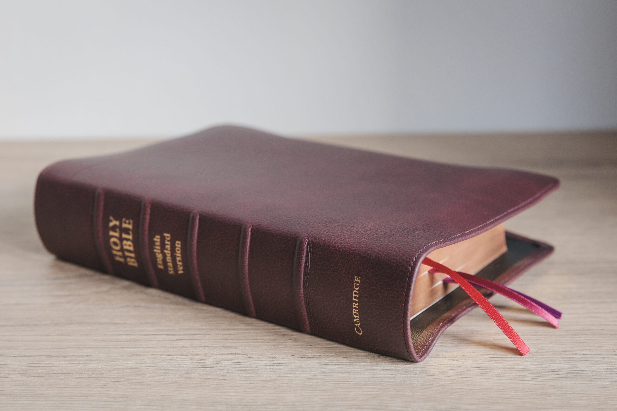 Cambridge ESV Clarion Reference Bible, Full Yapp Burgundy Buffalo Calfskin Leather - Image 3