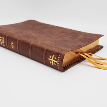 Schuyler Quentel NIV, Chestnut Calfskin Bible