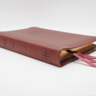Schuyler Quentel NIV, Full Yapp Verona Calfskin Bible