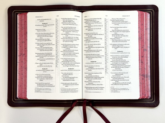 Allan NIV Proclamation Edition Burgundy Highland Goatskin Bible - Speckled Edges FIRST EDITION - Image 2