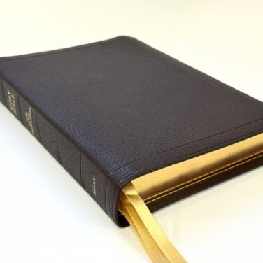 Allan NLT Readers Reference Edition Dark Brown Goatskin Bible