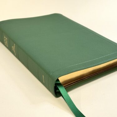 Allan NLT Readers Reference Edition Lincoln Green Goatskin Bible