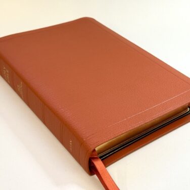 Allan NLT Readers Reference Edition Orange Goatskin Bible
