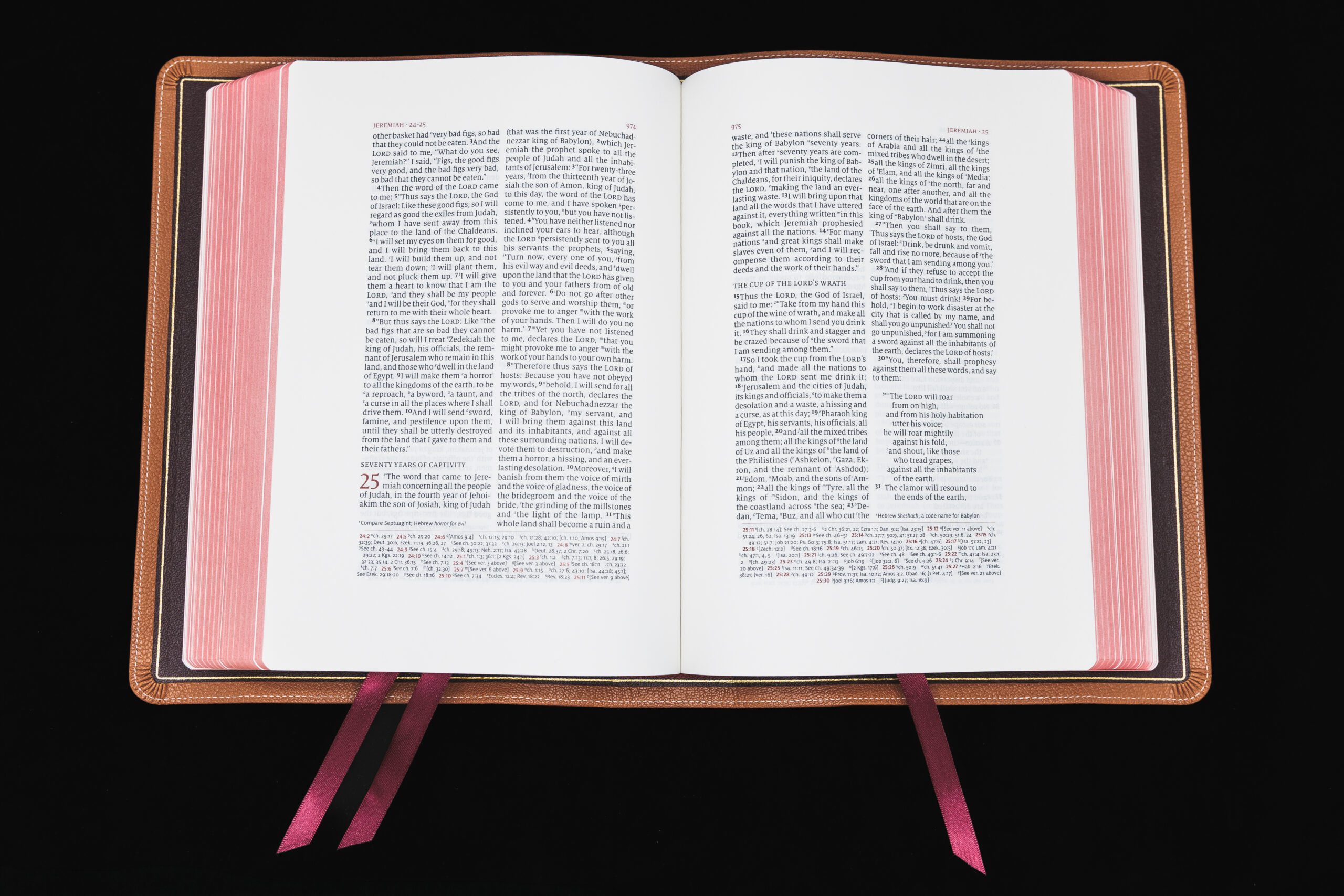 Schuyler Wide Margin Quentel ESV, British Tan Goatskin Bible - Image 3