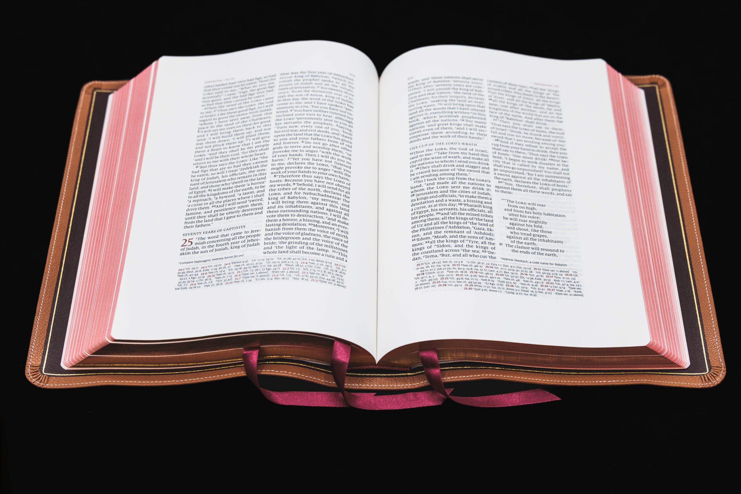 Schuyler Wide Margin Quentel ESV, British Tan Goatskin Bible - Image 2